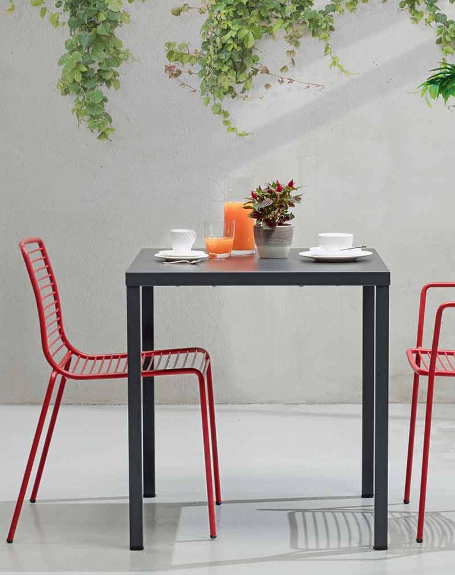 Summer Table - Set of 12