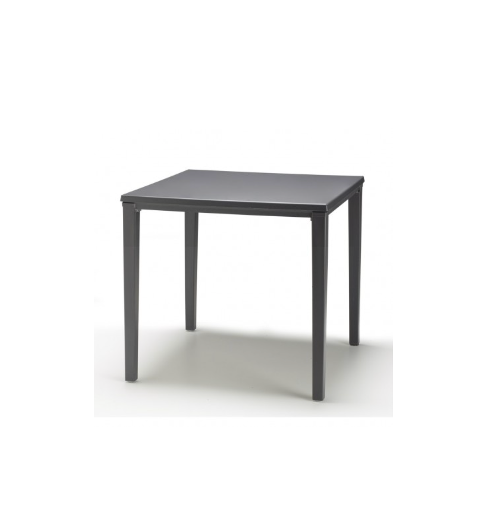 Timo 80 - Set of 12