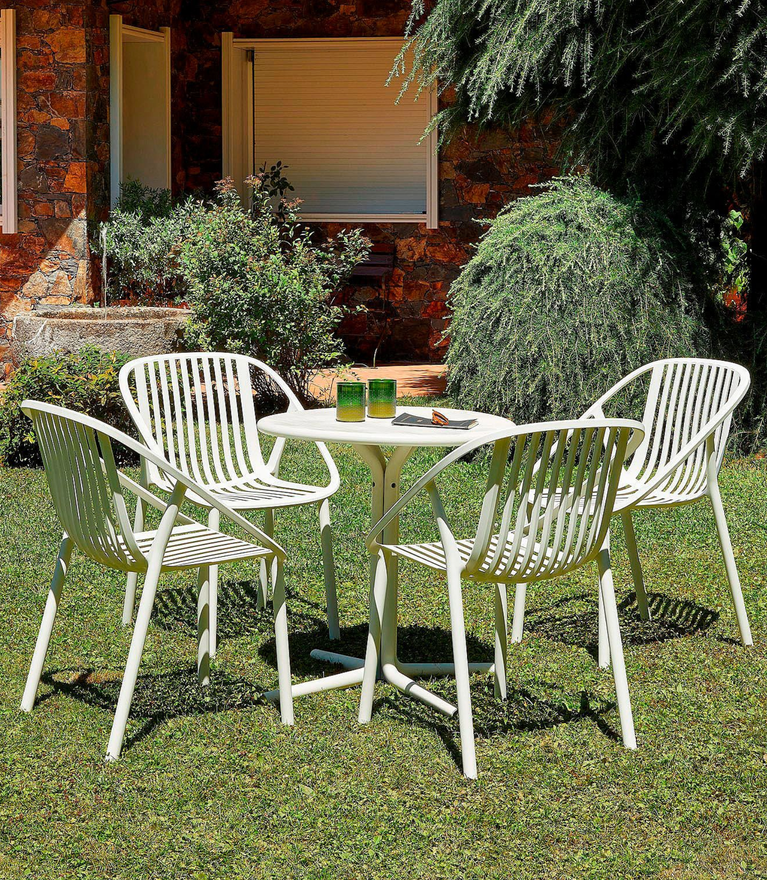 Bini - Set of 24