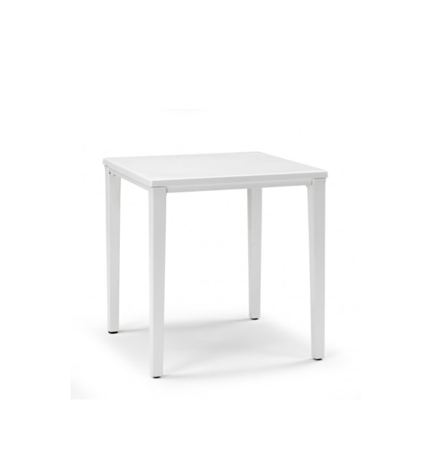 Timo 80 - Set of 12